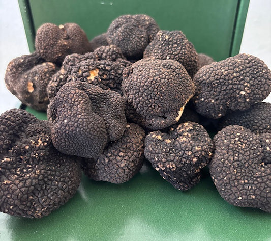 FRESH Italy Summer Truffles in Stock!