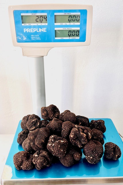 FRESH Italy Summer Truffles in Stock!
